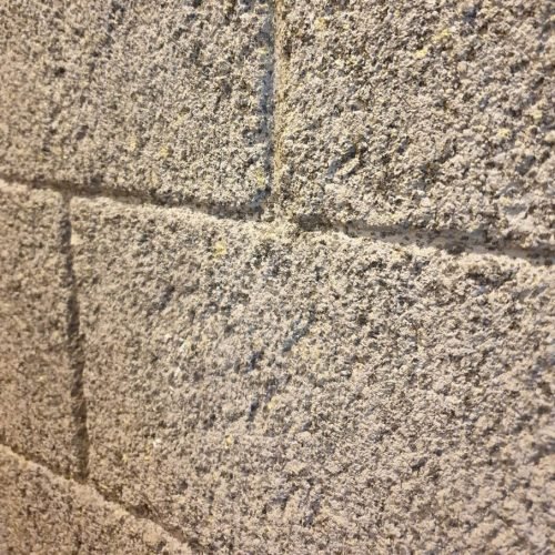 Textured-Wall